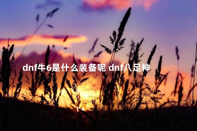 dnf牛6是什么装备呢 dnf八足神骏和牛鞋